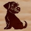A small breed dog with a distinctive beard and eyebrows, sitting upright.