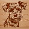 Vector Art of a Small Dog A realistic illustration of a miniature schnauzer's head with distinctive facial features.