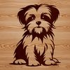 Small Furry Friend Sitting Pretty A small dog breed sitting on its hind legs, with a cute expression.