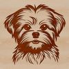 Cute Morkie Puppy Illustration A small breed dog with a distinctive appearance, suitable as vector art for various design projects.