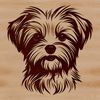 Morkie Breed Dog Face Illustration A close-up illustration of a small dog's head with a Morkie breed characteristic face.