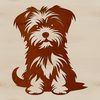 A small dog breed, the Morkie sitting on its haunches.