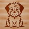 A small breed dog sitting on the floor with a friendly expression.
