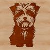 A small dog breed mix between Maltese and Yorkshire Terrier sitting on the ground.