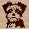 Close-up illustration of a small dog's head with a curly coat.