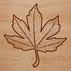 A high-quality vector illustration of a single leaf with detailed veins and edges, suitable for various design applications.