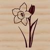 Stylized Daffodil Flower Vector Graphic A stylized illustration of a daffodil flower in bloom, suitable for vector graphics.