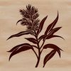 Realistic Wild Flower SVG Art A detailed illustration of a wild flower with intricate petals and realistic texture.
