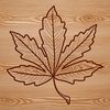An isolated vector design of a green leaf with a clear outline.