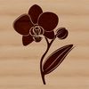 A detailed illustration of a single white orchid plant with long stems and dark green leaves.