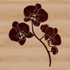 A highly detailed illustration of a white orchid flower with delicate petals and stem.