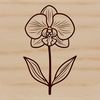 Free SVG Orchid Clip Art Illustrative orchid plant with delicate petals, suitable for vector graphics and design projects.