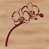 An illustration of a single orchid flower with intricate details and petal patterns.