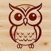 A simple line drawing illustration of a cute owl, suitable for vector art design.