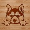 A Shiba Inu dog peeking out from behind a object, illustration style.