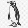 A simple line drawing of a penguin in black and white, vector design.