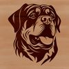 A detailed vector illustration of a Rottweiler's head from various angles.