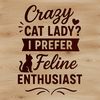 Whimsical Pet Graphics A cartoon cat holding a quote bubble with funny phrase about pets.