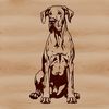 Large Breed Dog Clip Art A large breed dog, specifically a Great Dane, sitting in a relaxed position.