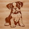 A sitting dog breed with a muscular build and distinctive face.