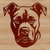 Vector Pitbull Portrait Design Illustration of a Pitbull's head in vector format for graphic design and printing.