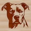 Free Pitbull Clip Art Design Vector illustration of a Pitbull's head with detailed features.