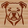 Beautiful Pitbull Head Illustration Illustrated head of a pitbull breed dog