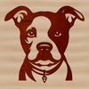 A close-up illustration of a Pitbull's head, suitable for use in graphic design projects.