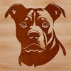 Close-Up Pitbull Portrait SVG Design A close-up of a Pitbull's head in vector format.