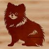 A cute Pomeranian sitting on a background with a simple border.