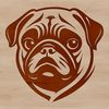 Cute Small Breed Dog Face A small breed dog's head with wrinkled skin and adorable facial features.