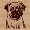 Pug Face Illustration SVG A close-up illustration of a pug's head with wrinkles and folds.