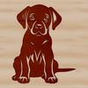 A vector illustration of a sitting Labrador Retriever breed dog in a simple design.