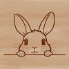 A cute, furry rabbit peeking out from behind a leaf, suitable for Easter-themed designs and craft projects.