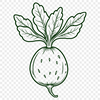 A detailed vector illustration of a radish in silhouette form, suitable for cutting machines and laser engraving.