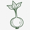 A vector illustration of a radish plant with roots and leaves, suitable for graphic design projects.