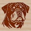 Beautiful Rottweiler Face Design SVG Close-up vector illustration of a Rottweiler's head with details of its face and ears.
