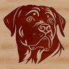 Detailed Dog Head Design SVG A detailed illustration of a rottweiler's head from various angles, showcasing its distinctive features.