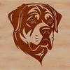 Rottweiler Dog Portrait An SVG rendering of a Rottweiler breed dog's facial features.