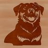 A detailed illustration of a Rottweiler dog breed, suitable for vector graphics.