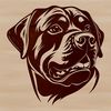 Rottweiler Head Vector Graphic A high-quality illustration of a Rottweiler's head in vector format.