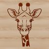 Giraffe Vector Graphic Free Download A tall, even-toed ungulate with long neck and legs, commonly found in savannas and grasslands.