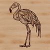 One Leg Up: A Detailed Flamingo Image A single flamingo standing on one leg in a shallow lake or pond, its feathers and beak detailed.