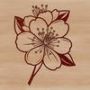 Pink Blooming Cherry Blossom A stylized illustration of a blooming Cherry Blossom flower with delicate pink petals.