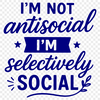 A collection of humorous quotes with a sarcastic tone, ideal for DIY projects and personal use.
