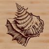 Beautiful Beach Shell Design SVG A detailed illustration of a real-life seashell found on the seaside, suitable for vector art projects.