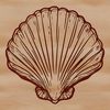 Beautiful Seashell Illustration A detailed illustration of a seashell in vector format, suitable for various digital design applications.