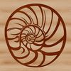 Beautiful Beach Find Illustration of a single seashell found on the beach during a seaside vacation.