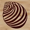 Realistic Seashells for Digital Design An SVG graphic of a realistic seashell, ideal for use in digital art software like Illustrator or Procreate.