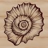 Beautiful Seaside Decor Clip Art An illustration of a seashell with intricate details, suitable for vector graphics design.